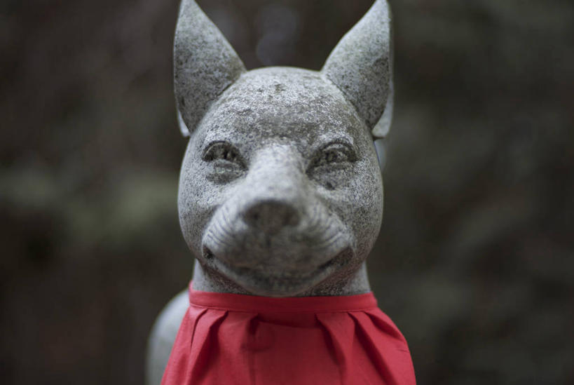 无人,横图,室外,特写,白天,狐狸,爱知县,日本,雕像,摄影,美术工艺,彩图