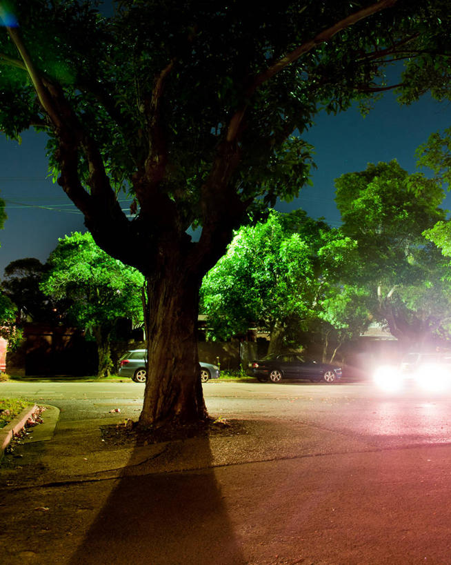 无人,竖图,室外,夜晚,街道,汽车,照明,澳大利亚,阴影,灯,树,天空,灯具,运输,摄影,靠近,宁静,照亮,照明设备,前照灯,前大灯,车前灯,新南威尔士,彩图