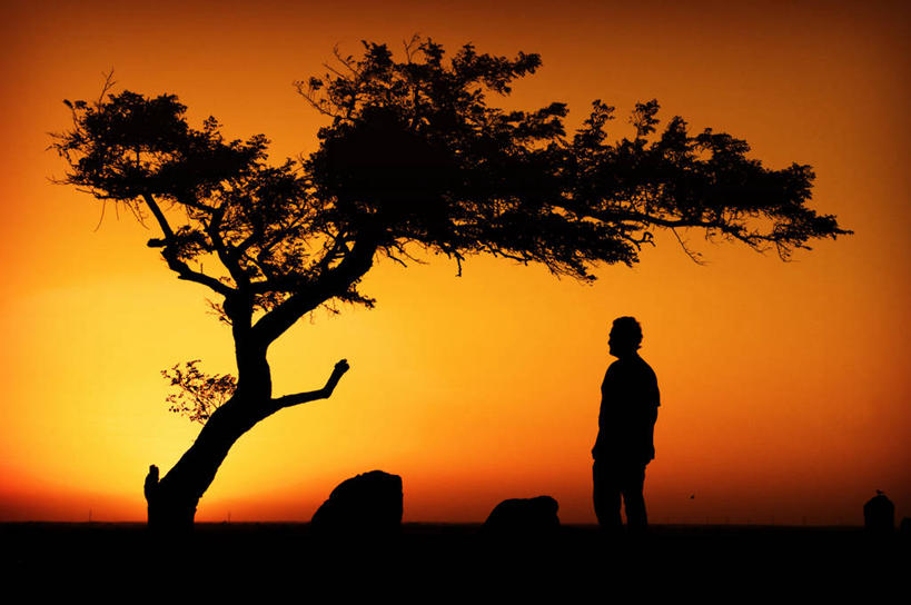 成年人,一个人,站,横图,侧面,美景,日光,澳大利亚,仅一个男性,景观,树,黄色,天空,自然,黄昏,思考,景色,个性,摄影,宁静,自然风光,剪影,彩图,季隆