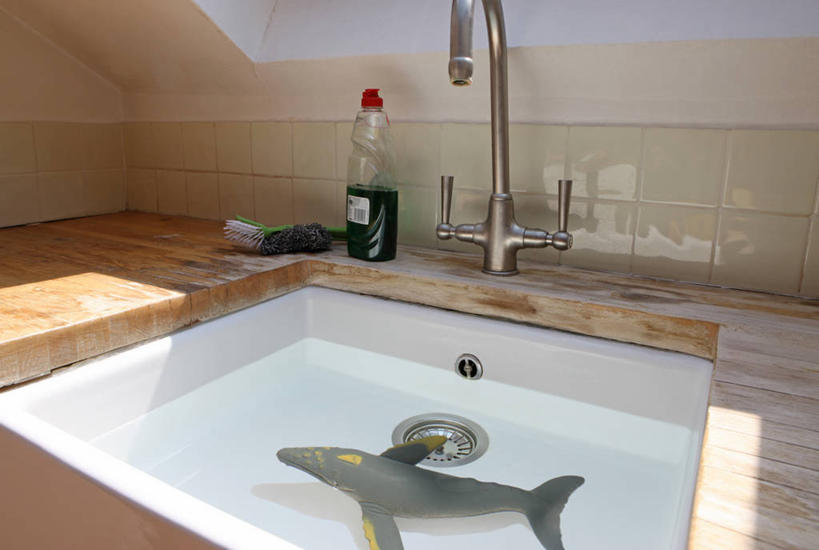 无人,横图,室内,白天,游戏,厨房,鲨鱼,玩具,日光,英国,漂浮,鱼,水槽,水龙头,首都,玩,娱乐,鱼类,海洋生物,瓶子,休闲,童年,益智,摄影,活动,发泄,消遣,智力,水生动物,水生物,凶猛,海底动物,宣泄,想法,残暴,凶残,沙鱼,鲛鲨,玩耍,嬉戏,彩图,鲛