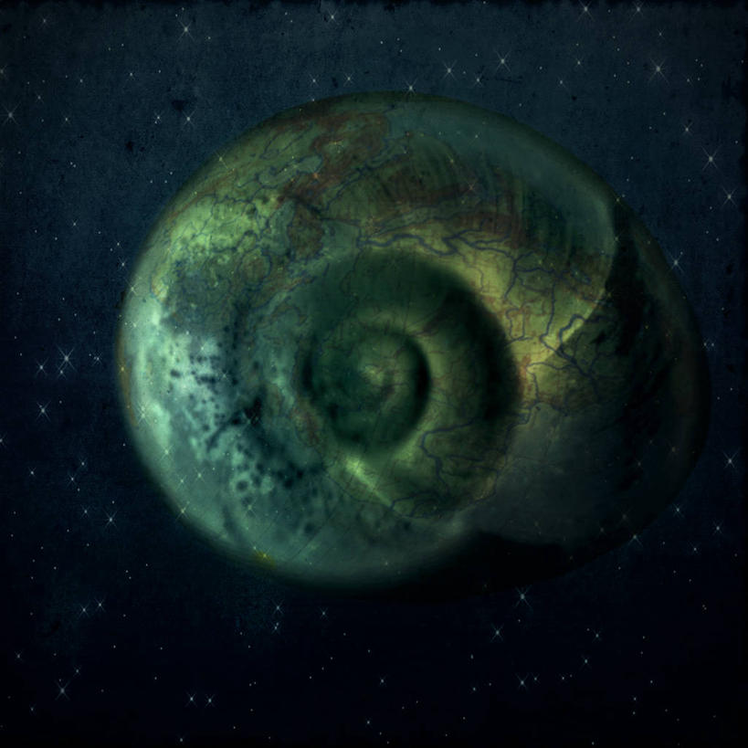 无人,方图,室外,特写,贝壳,新西兰,黑色背景,艺术,蜗牛,摄影,文学,想法,彩图,影棚拍摄,超现实主义,流派,艺术流派