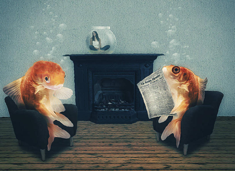 成年人,一个人,坐,横图,室内,报纸,椅子,德国,仅一个女性,金鱼,鱼缸,数码合成,鱼类,动物,两只,读书,摄影,幽默,起居室,想法,彩图