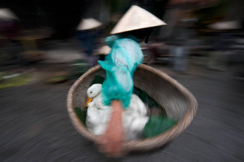 成年人,脸,头,脸颊,一个人,横图,室外,白天,侧面,运动模糊,雨,帽子,越南,仅一个女性,鸭子,篮子,古城,首都,拿着,休闲装,肩膀,摄影,河内,会安,紧迫,头部,脸部,脸蛋,面部,步行,彩图,传统文化