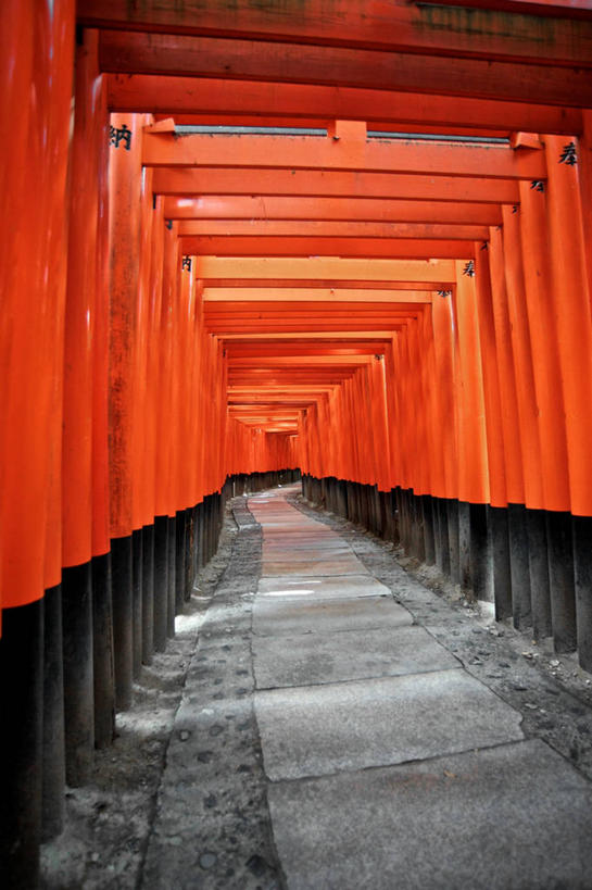 无人,竖图,室内,白天,建筑,京都,日本,亚洲,一排,日本文化,整齐,鸟居,排列,红色,摄影,宗教,京都府,神殿,队列,东亚,本州,本州岛,日本国,近畿地方,近畿,京都市,伏见稻荷大社,伏见区,彩图