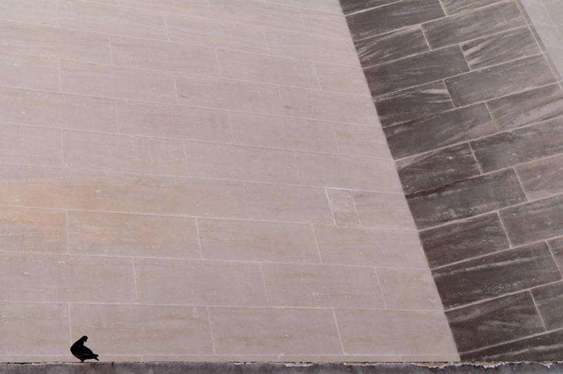 无人,横图,室外,白天,鸽子,野生动物,法国,鸟类,石墙,休息,摄影,亚维尼翁,彩图