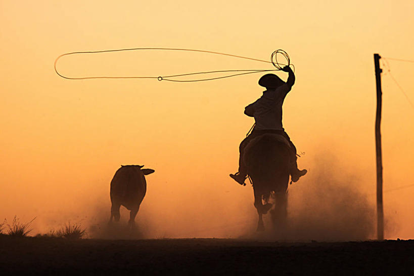 一个人,跑,举,横图,室外,日落,马,巴西,拿着,背面,天空,动物,托,两只,家畜,摄影,套索,技能,举起,举手,举着,向上举,向上伸,向上托,彩图