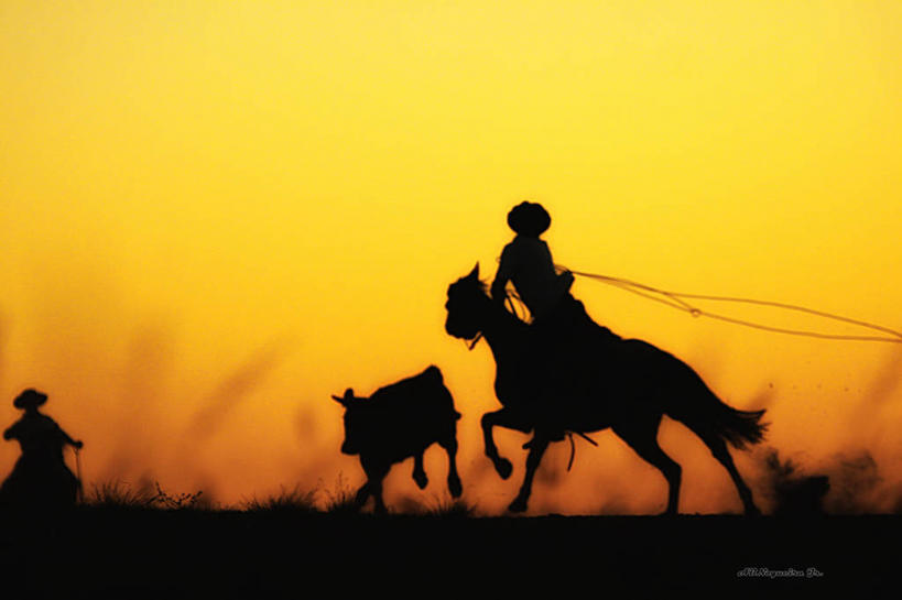 两个人,跑,横图,室外,日落,马,巴西,骑马,草,骑,黄色,天空,动物,两只,家畜,摄影,剪影,彩图