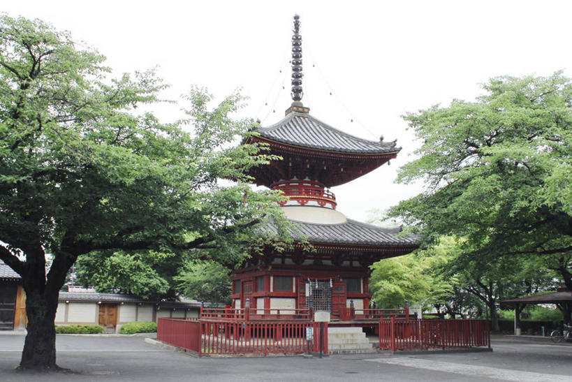 无人,寺庙,横图,室外,白天,植物,建筑,日本,日本文化,树,自然,地标建筑,摄影,宗教,宗教建筑,川越,灵性,彩图,传统文化