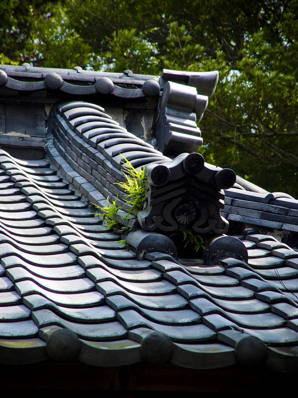 无人,竖图,室外,特写,白天,植物,建筑,静冈县,日光,日本,一排,节日,日本文化,整齐,屋顶,瓦,文化,排列,黑色,祈祷,健康,许愿,摄影,宗教,信仰,纪念,保护,神道,祈求,神殿,队列,神道教,开端,平安,彩图