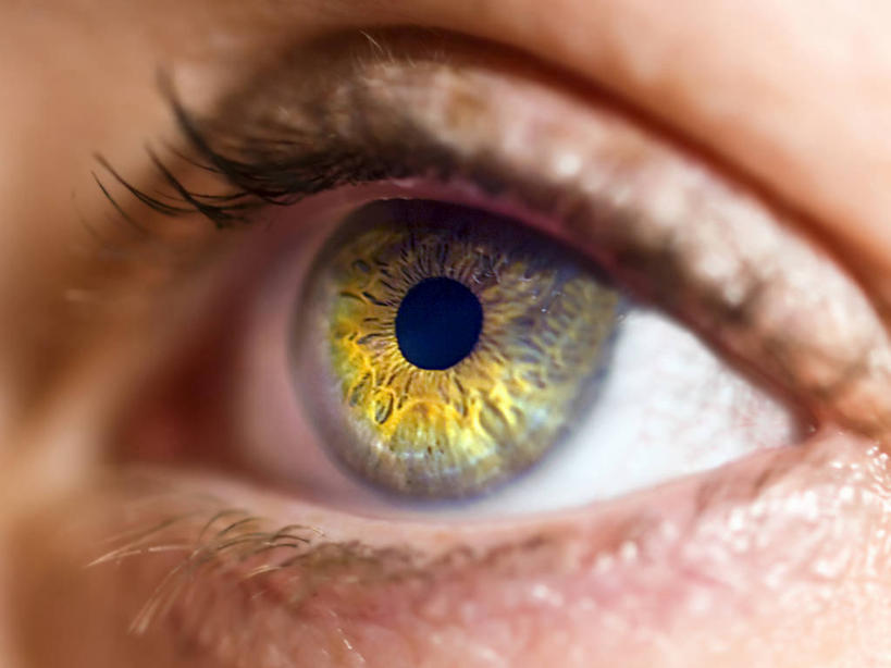 成年人,眼睛,眉毛,睫毛,一个人,横图,特写,西班牙,瞳孔,仅一个女性,人体,眼部,摄影,视力,眼球,大西洋群岛,眼,彩图,对焦,感知