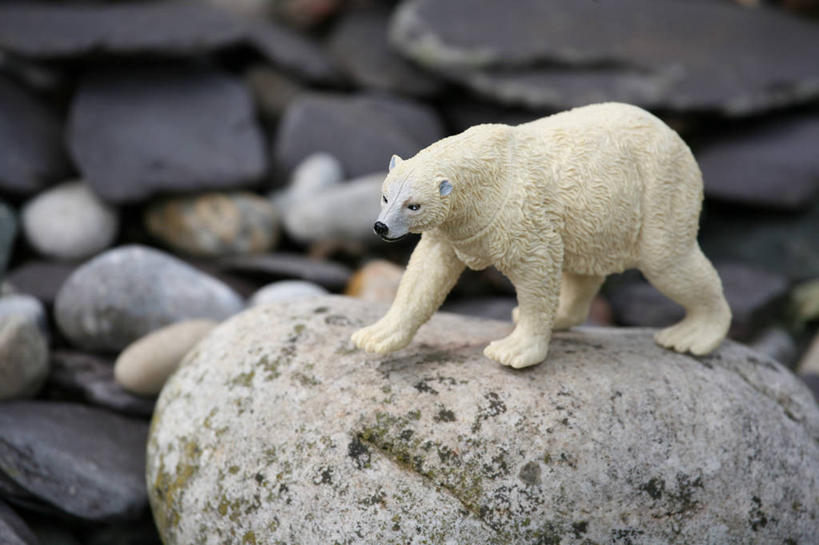 无人,横图,室外,白天,玩具,英国,塑胶,一个,童年,摄影,单个,幽默,想象,格洛斯特郡,岩石,彩图