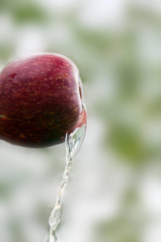 无人,竖图,室外,特写,白天,水,苹果,水果,西班牙,食品,饮食,一个,摄影,落下,单个,清新,健康食物,彩图,希洪