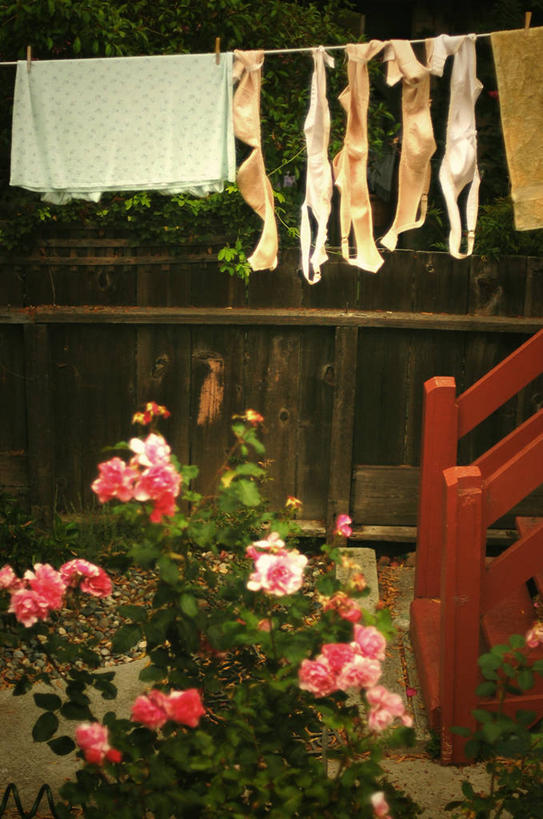 无人,家庭,竖图,室外,白天,植物,玫瑰,纺织品,美国,洗衣服,粉色,夏天,晾衣服,温暖,温馨,一家人,胸罩,摄影,和睦,卫生,加利福尼亚,旧金山,烘干,彩图,融洽,例行公事,家务劳动