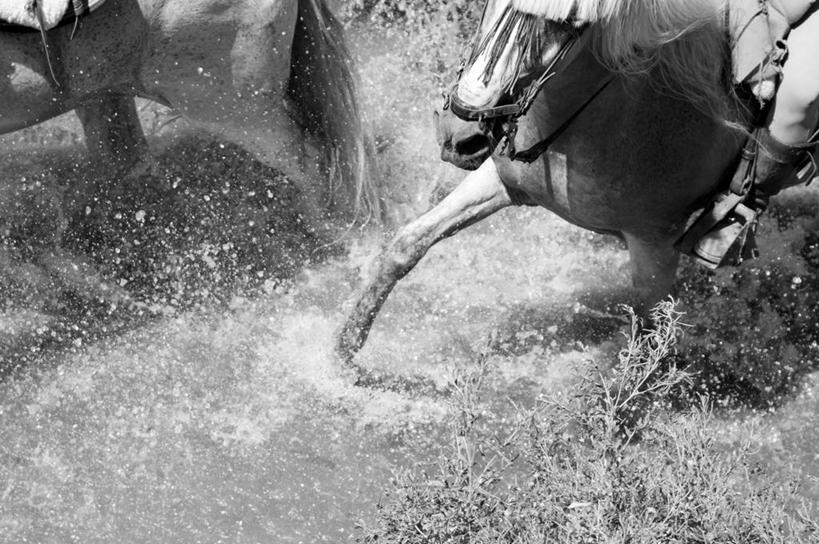一个人,跑,横图,黑白,室外,白天,水,马,西班牙,溅,动物,两只,摄影