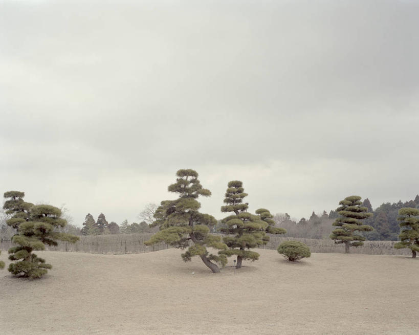 无人,横图,室外,白天,松树,日本,地形,树,天空,自然,摄影,宁静,成田市,彩图,景观设计