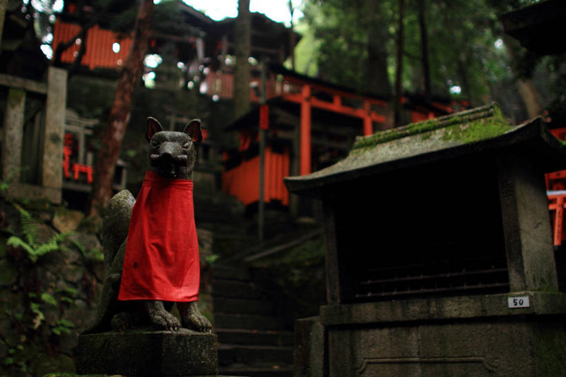 无人,横图,室外,白天,京都,日本,亚洲,日本文化,雕像,鸟居,摄影,宗教,京都府,神殿,宗教建筑,东亚,本州,本州岛,日本国,近畿地方,近畿,伏见稻荷大社,伏见区,彩图
