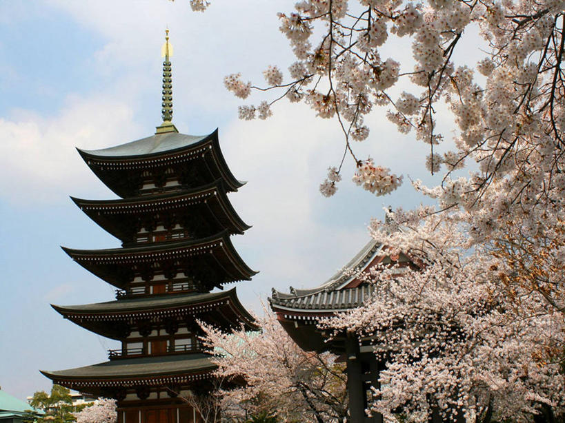 无人,寺庙,横图,室外,白天,建筑,樱花,爱知县,名古屋,日本,日本文化,云,樱桃树,历史,宝塔,天空,摄影,宗教,宗教建筑,印度教,彩图