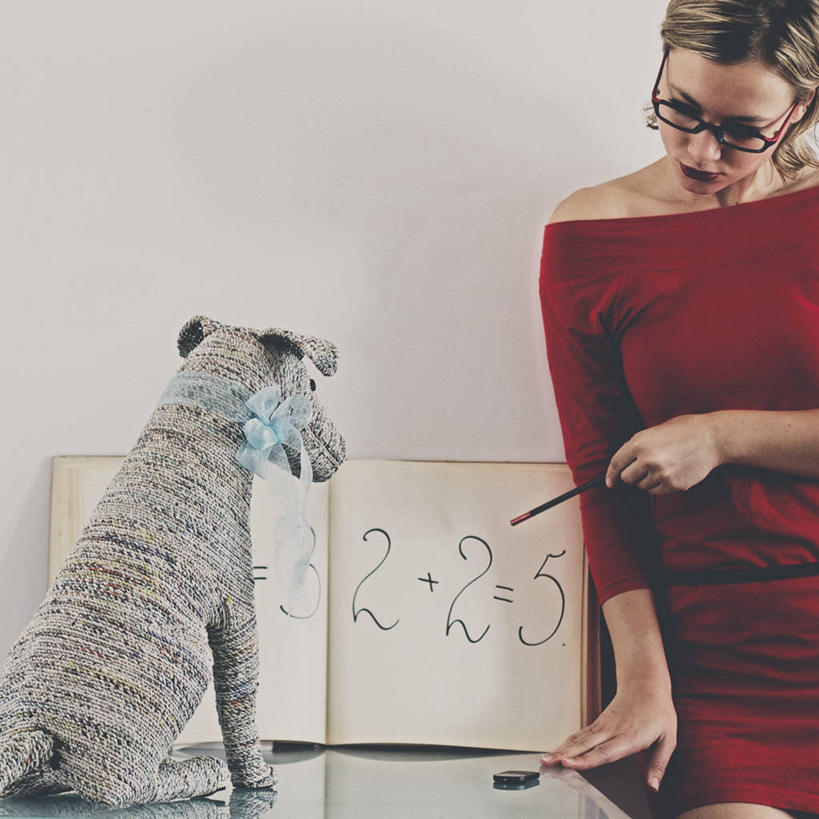 西方人,成年人,中年人,一个人,站,方图,室内,正面,狗,欧洲,美国,欧洲人,仅一个女性,仅一个人,数字,眼镜,拿着,休闲装,教,仅一个中年女性,摄影,毛绒玩具,幽默,知识,数学,德克萨斯,数学符号,想法,女人,女性,中年女性,白种人,书,半身,彩图