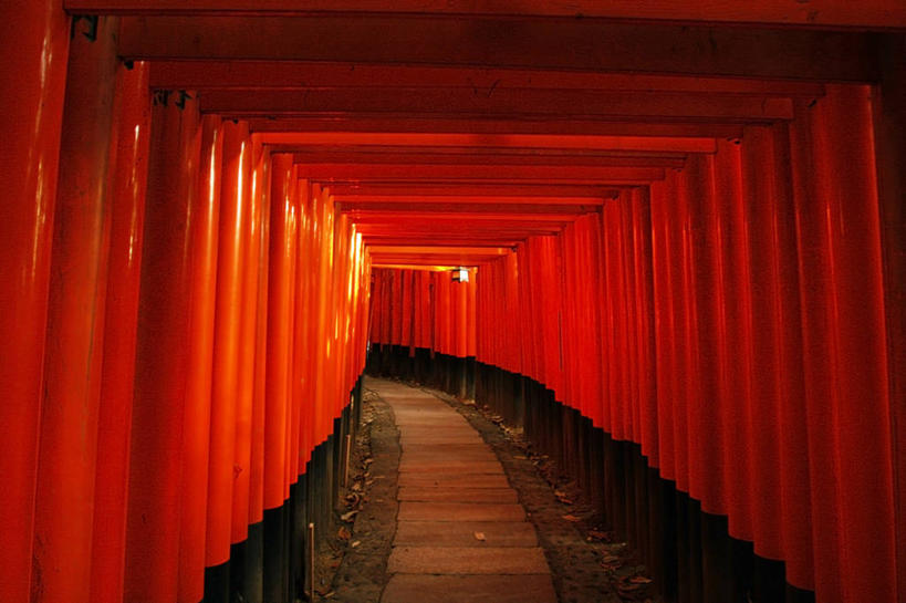 无人,横图,室内,重复,建筑,日本,一排,日本文化,整齐,鸟居,小路,排列,摄影,宗教,京都府,宗教建筑,队列,彩图,传统文化