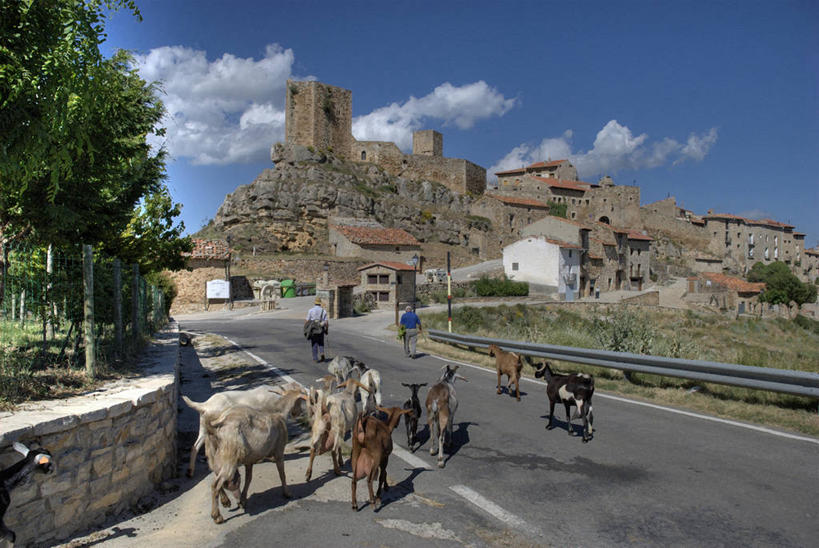 两个人,横图,室外,白天,路,西班牙,城堡,云,石墙,树,天空,自然,动物,家畜,摄影,特鲁埃尔省,山羊,步行,彩图