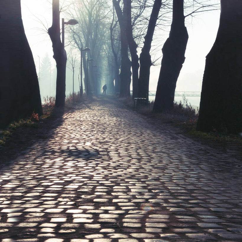 一个人,方图,室外,消失点,神秘,雾,黎明,树,树干,天空,自然,摄影,早晨,塞尔维亚,彩图,巷,独处,皮罗特