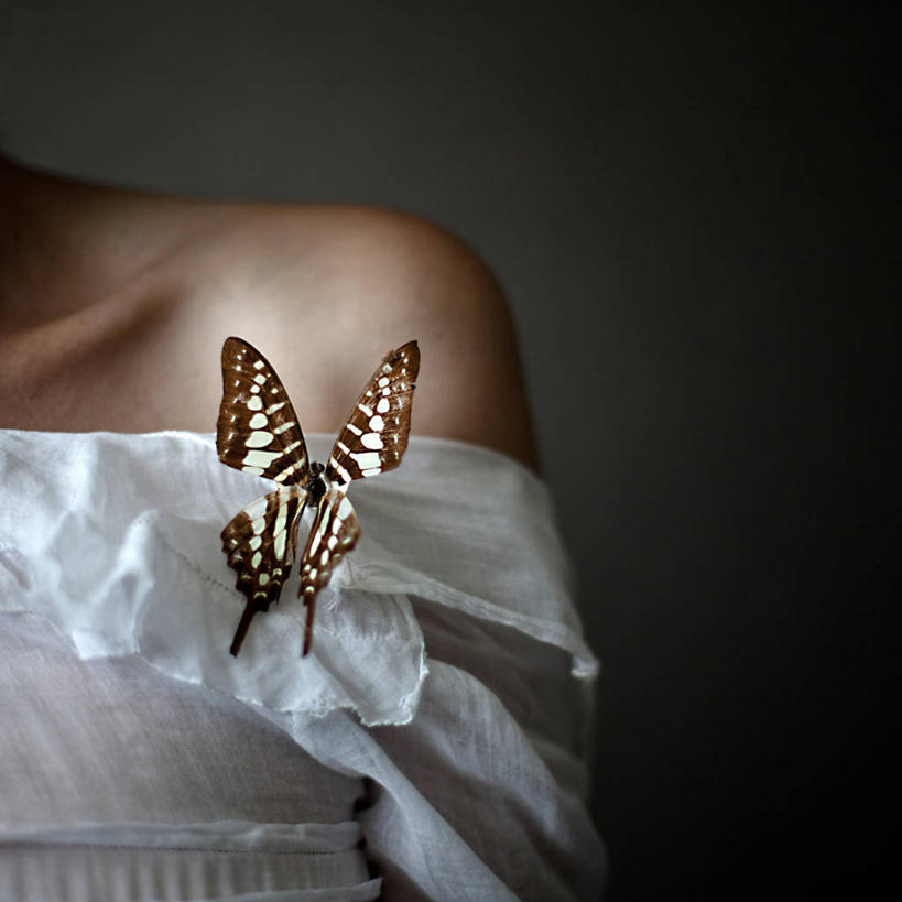 成年人,一个人,方图,特写,正面,蝴蝶,法国,仅一个女性,黑色背景,服装,休闲装,衣服,白色,休闲,休闲服,摄影,服饰,设计,彩图,影棚拍摄
