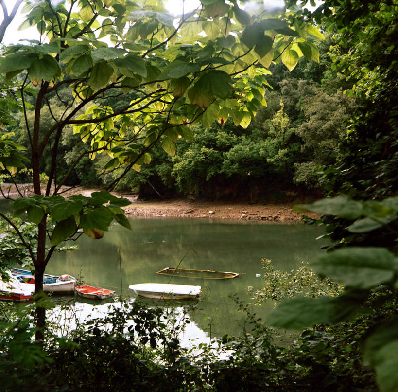 无人,横图,室外,白天,植物,船,西班牙,反射,池塘,树,自然,运输,摄影,宁静,不幸,沉没,比斯开省,彩图
