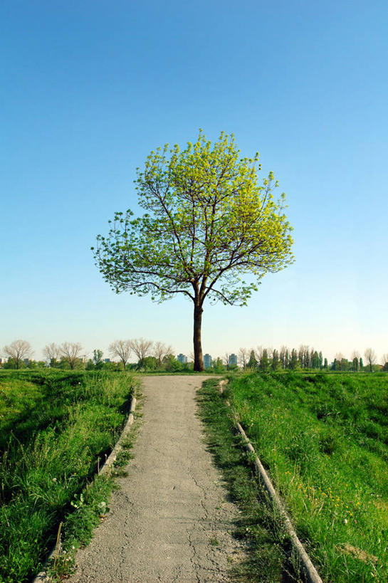 无人,竖图,室外,白天,山,欧洲,克罗地亚,小路,首都,草,自然,摄影,万里无云,萨格勒布,彩图,独处