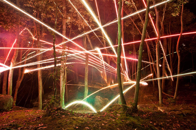 无人,横图,室外,夜晚,长时间曝光,森林,日本,草,树,树干,摄影,照亮,冈山县,彩图