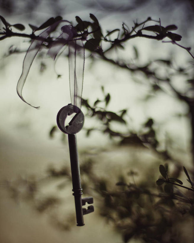 无人,竖图,室外,特写,安全,植物,委内瑞拉,吊挂,悬挂,枝,缎带,钥匙,挂,自然,黄昏,摄影,保护,剪影,彩图