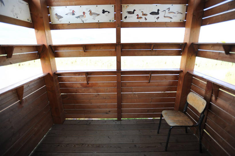 无人,横图,室内,椅子,意大利,木制,摄影,拉奇奥,彩图