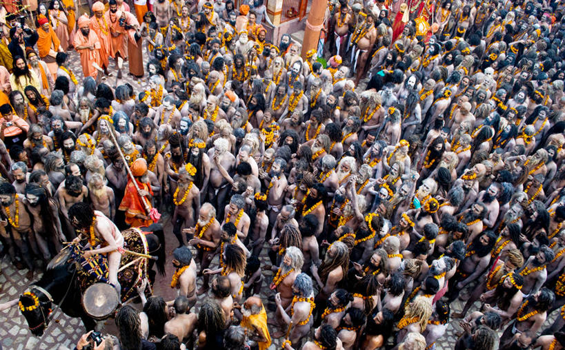 站,坐,横图,俯视,室外,白天,牛,印度,亚洲,节日,庆祝,花环,许多人,文化,一群人,庆典,摄影,纪念,南亚,群众,印度文化,印度教,印度共和国,母牛,苦行僧,彩图,高角度拍摄,乌塔兰契尔邦,传统文化,家牛,哈里瓦