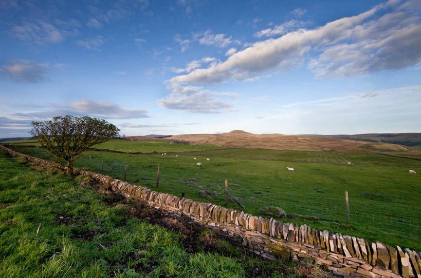 无人,横图,室外,白天,农业,牧场,草地,英国,地形,篱笆,石墙,风景,摄影,宁静,巴克斯顿,彩图