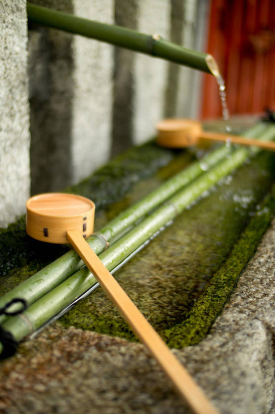无人,竖图,室外,特写,白天,日本,竹制,竹筒,苔藓,自来水,容器,摄影,宗教,京都府,储藏,卫生,竹制品,神殿,储存,纯净,彩图,贮存