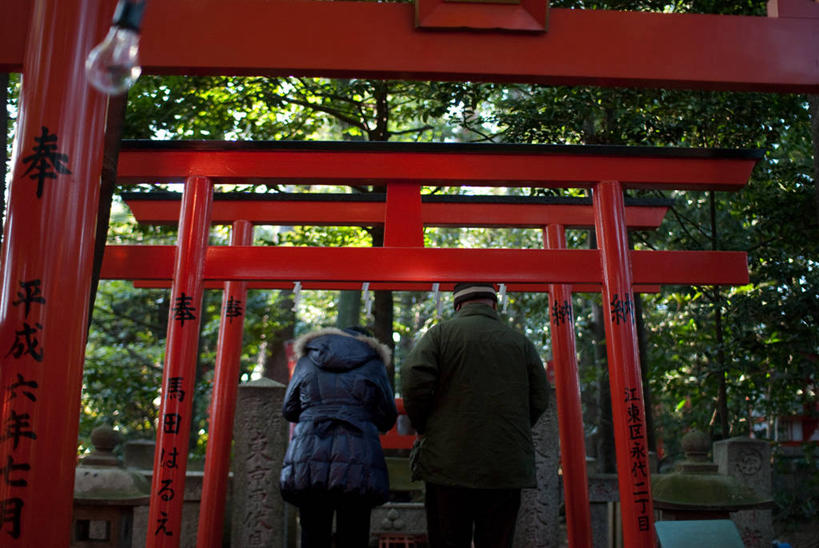 成年人,两个人,寺庙,站,横图,室外,白天,日本,节日,日本文化,并排,鸟居,文化,树,背面,祈祷,健康,许愿,摄影,宗教,信仰,纪念,神道,祈求,神殿,宗教建筑,神道教,灵性,平安,男人,女人,半身,彩图,冬衣