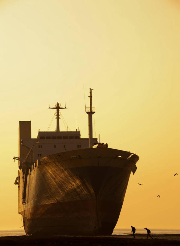 竖图,室外,船,孟加拉国,亚洲,三只,停靠,鸟类,飞,天空,自然,黄昏,运输,摄影,巨大,庞大,停泊,南亚,宏大,硕大,伟大,孟加拉人民共和国,吉大港,彩图,海港