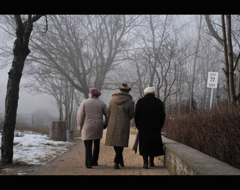 三个人,横图,室外,白天,雪,植物,雾,街道,波兰,数字,文字,冬天,休闲装,外套,布告,背面,鸭舌帽,寒冷,摄影,写实,步行,彩图