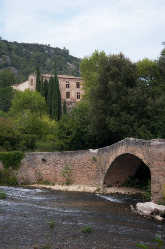 无人,竖图,室外,白天,河流,建筑,柏树,法国,城堡,桥,联系,文艺复兴,历史,古罗马,拱桥,摄影,普罗旺斯,法国文化,彩图