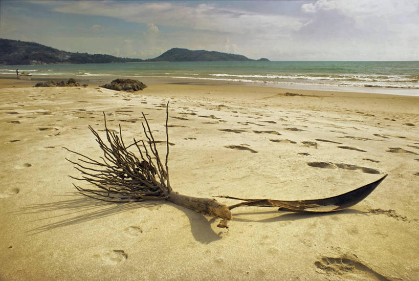 无人,横图,室外,白天,海洋,山,船,叶子,泰国,脚印,形状,云,枝,普吉岛,天空,自然,摄影,宁静,干的,棕榈叶,海滩,彩图,帕通海滩