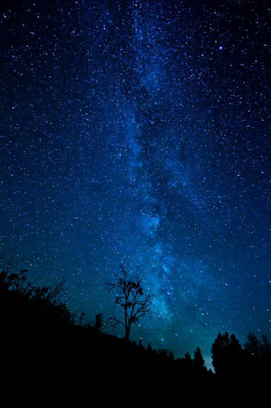 无人,竖图,室外,夜晚,美景,美国,景观,星星,树,风景,天空,自然,景色,摄影,星系,宁静,自然风光,银河系,怀俄明,大提顿国家公园,彩图,独处