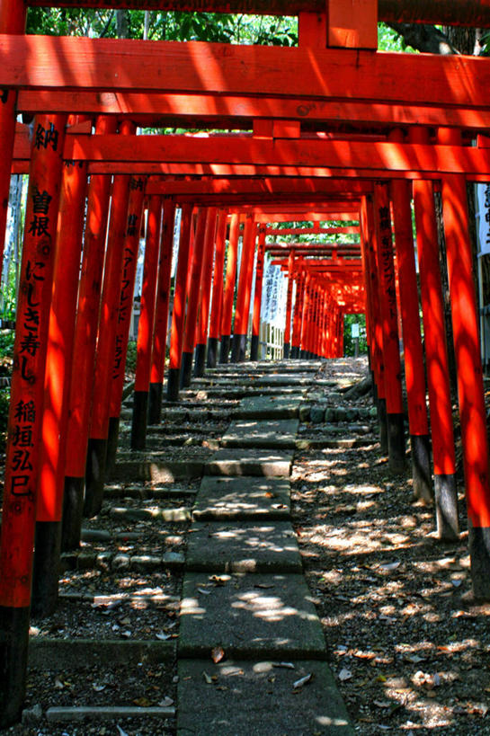 无人,竖图,室外,白天,重复,爱知县,名古屋,日本,一排,阴影,日本文化,整齐,鸟居,排列,红色,摄影,宗教,神殿,队列,彩图