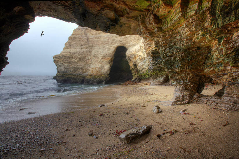 无人,横图,室内,白天,海洋,美国,鸟类,沙子,飞,天空,自然,摄影,洞穴,宁静,北美,北美洲,岩层,加利福尼亚,美洲,蒙大拿州,北亚美利加洲,亚美利加洲,蒙大拿,长空之乡,财富之州,莫罗贝,岩石,彩图,美利坚合众国