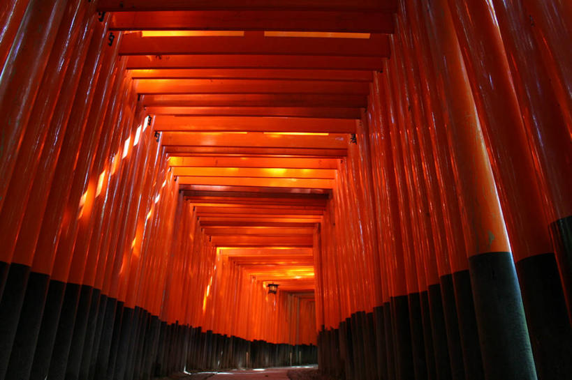 无人,横图,室外,白天,重复,京都,日本,亚洲,日本文化,鸟居,红色,摄影,宗教,京都府,神殿,宗教建筑,东亚,本州,本州岛,日本国,近畿地方,近畿,伏见稻荷大社,伏见区,彩图