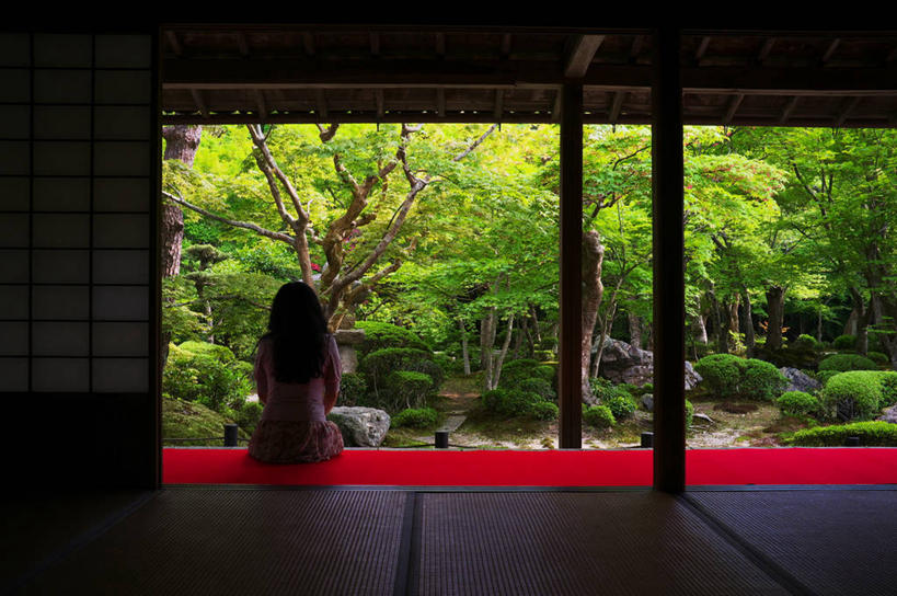 成年人,一个人,寺庙,坐,横图,室内,室外,白天,植物,建筑,日本,仅一个女性,柱子,树,背面,自然,摄影,宗教,京都府,生长,宗教建筑,京都市,休闲活动,彩图,门廊,独处,白日梦