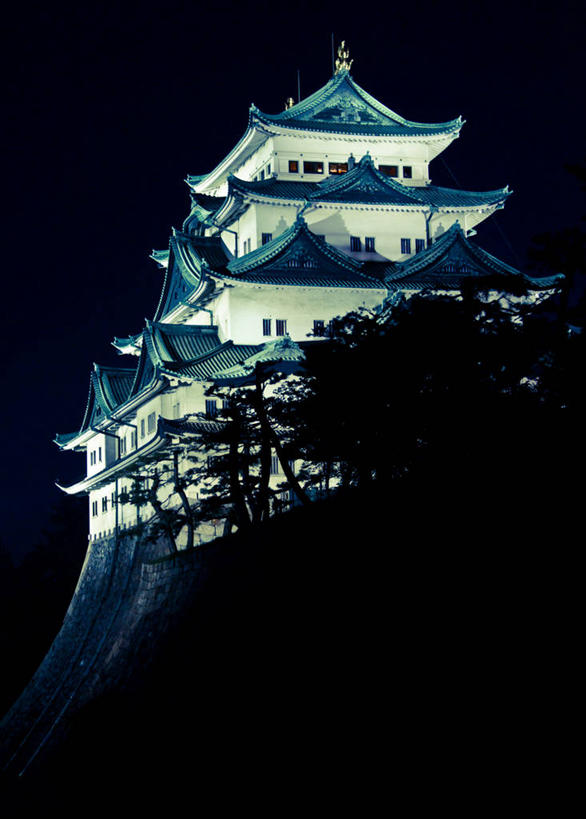 无人,竖图,室外,夜晚,仰视,建筑,爱知县,名古屋,日本,日本文化,城堡,屋顶,历史,树,天空,夏天,摄影,宁静,彩图,低角度拍摄,名古屋城,传统节日