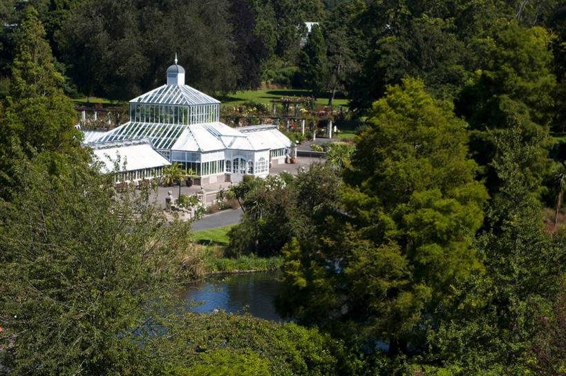 无人,植物园,横图,俯视,室外,白天,新西兰,池塘,温室,树,摄影,生长,树梢,达尼丁,彩图,高角度拍摄