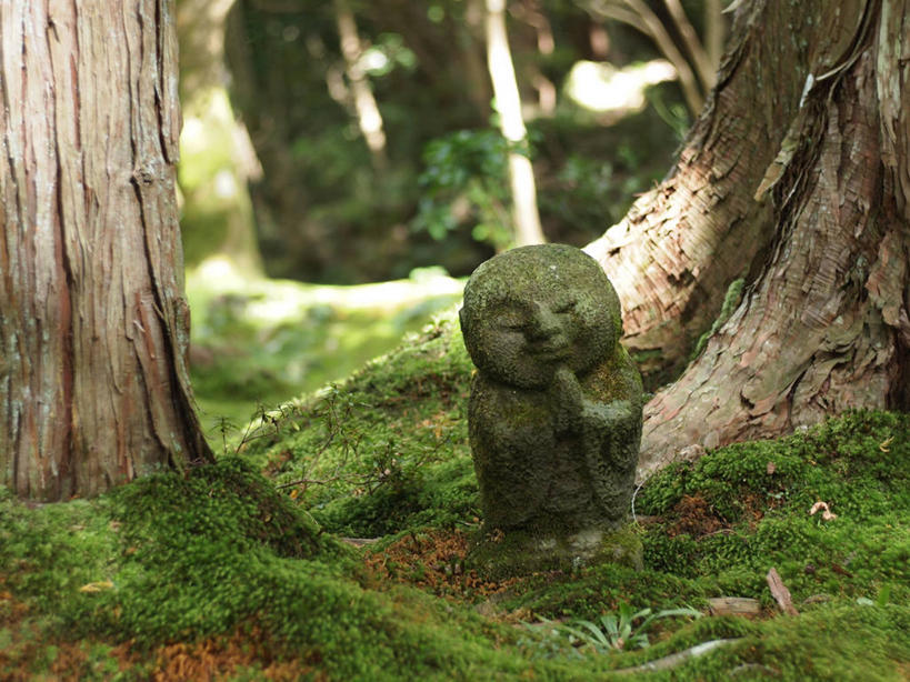 无人,横图,室外,特写,白天,雕塑,日本,日本文化,标志,符号,苔藓,历史,标识,树干,自然,摄影,佛教,京都府,幽默,性别符号,地藏菩萨,彩图,男性符号
