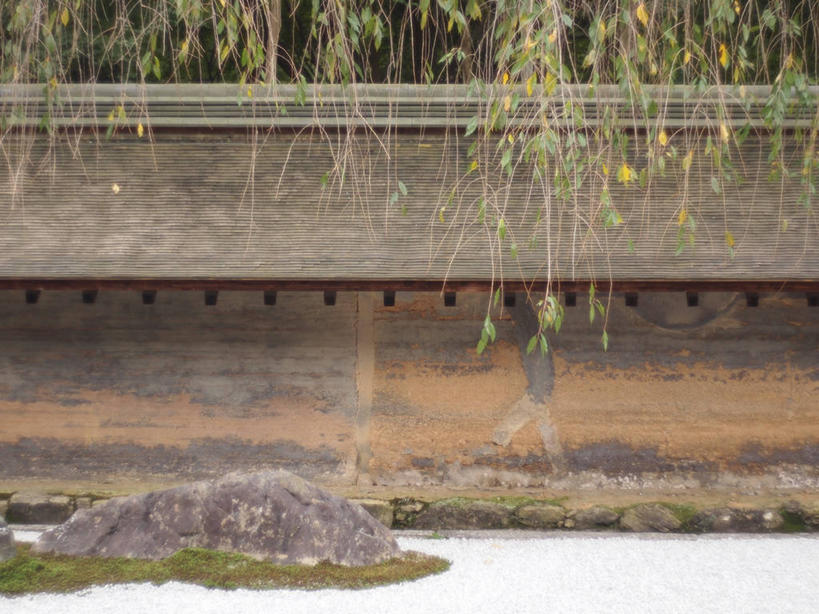 无人,横图,室外,白天,植物,建筑,日本,日本文化,摄影,佛教,京都府,京都市,彩图