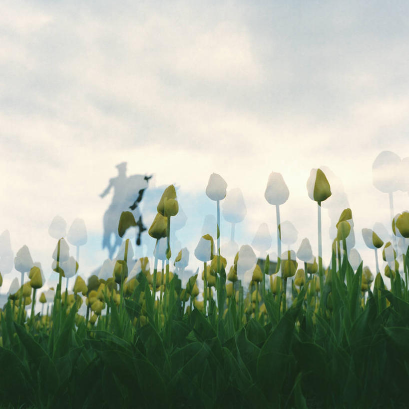 方图,室外,白天,郁金香,马,美国,骑马,田地,云,数码合成,花,天空,家畜,摄影,园林,脆弱,清新,波士顿,彩图
