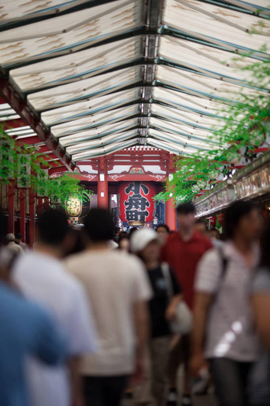 竖图,室内,白天,东京,日本,日本文化,标志,文字,字符,字母,关东地区,首都,许多人,标识,一群人,摄影,宗教,宗教建筑,群众,浅草观音寺,浅草,灵性,步行,彩图